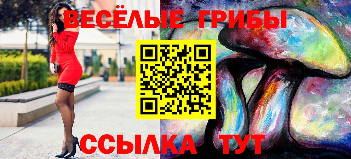 Галлюциногенные грибы Psilocybine cubensis  хочу наркоту  Богородицк  Галлюциногенные грибы прущие грибы  Вход с VPN 